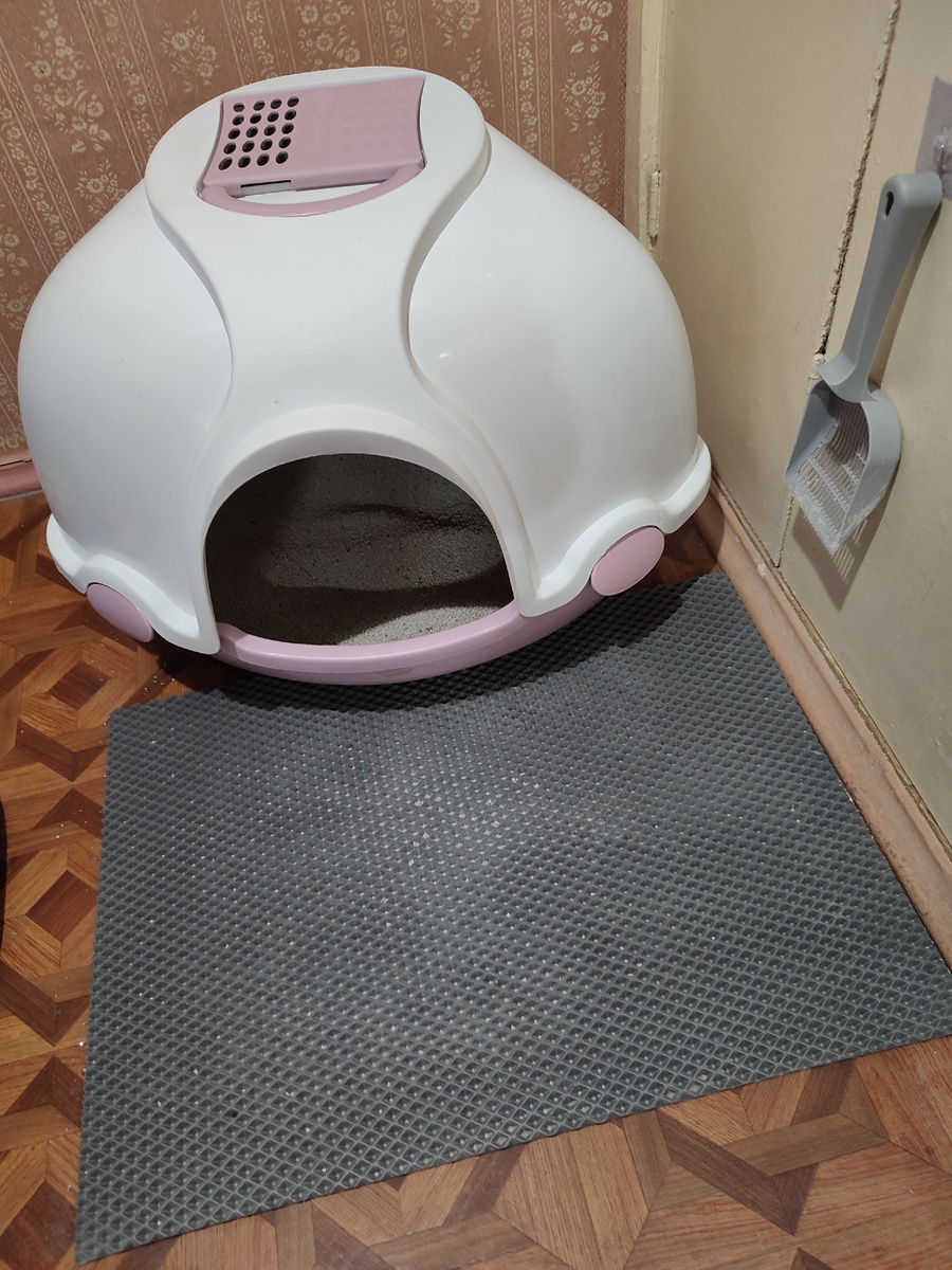 Вот такой у нас большой туалет у кошки, что лотком то даже и не назвать😂