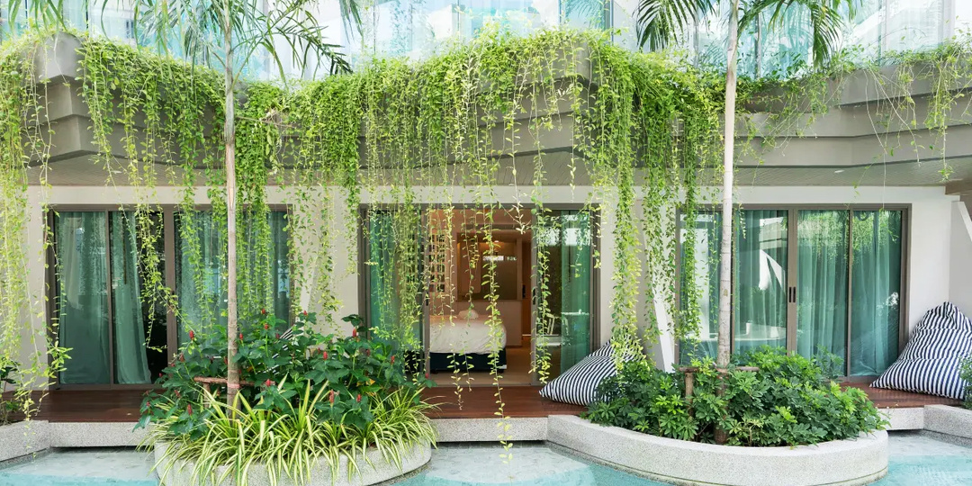 Баунти отели на Пхукете.