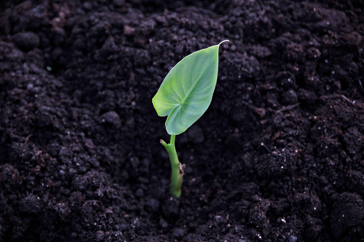 Фото «Иркутск Сегодня»