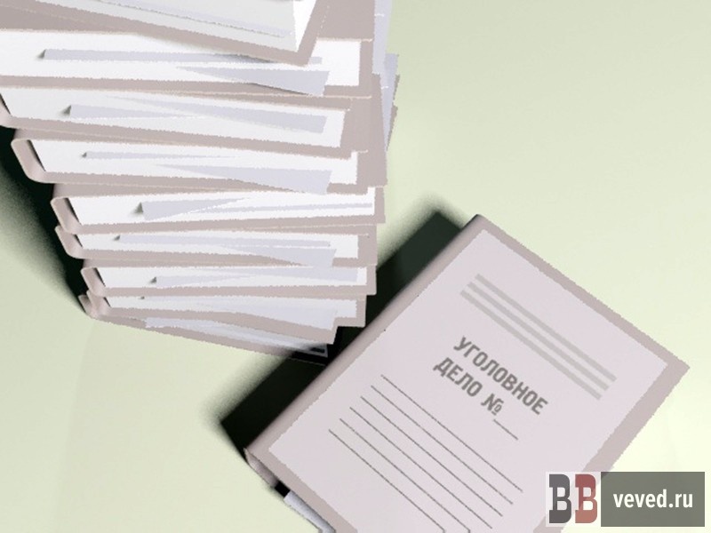     Иллюстрация: Андрей Гоголев / Вечерние ведомости