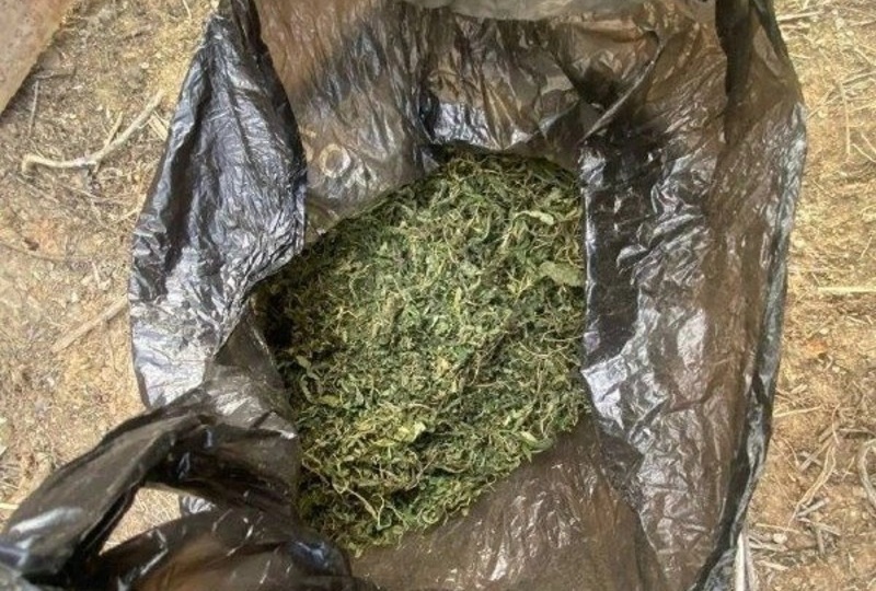 В сарае астраханского слесаря нашли свыше 3 кг конопли