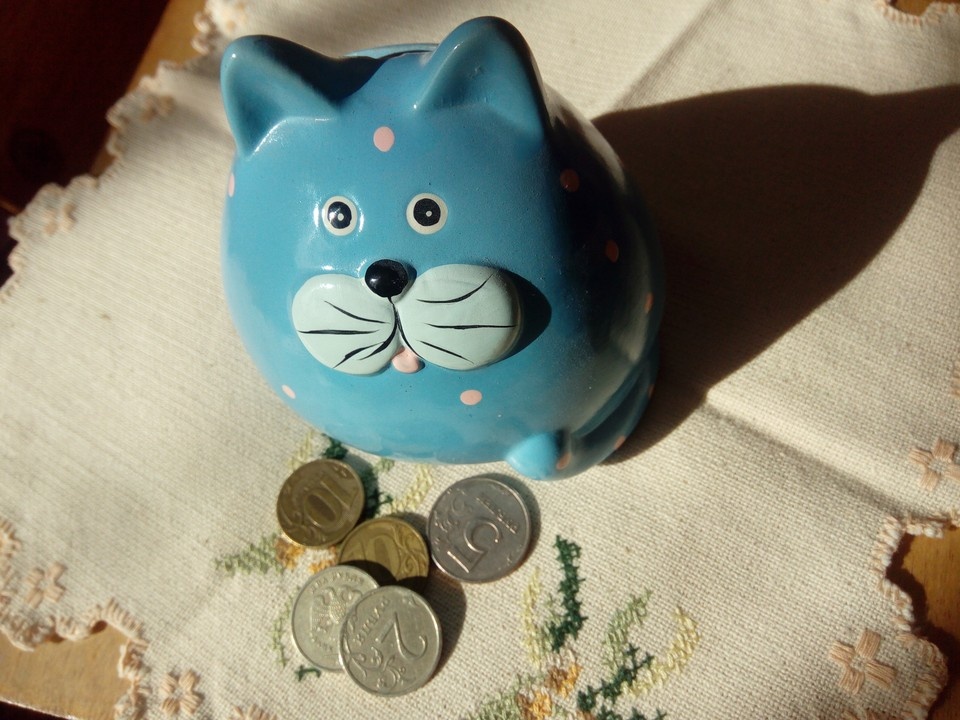    Фото Елены Федяшевой из архива «КП»