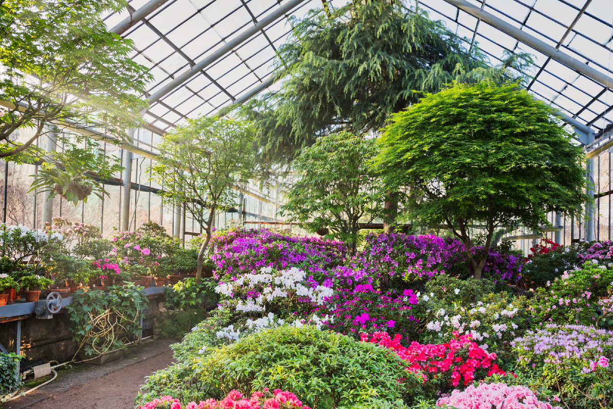 Ботанический сад Петра Великого, Санкт-Петербург. Источник: Shutterstock