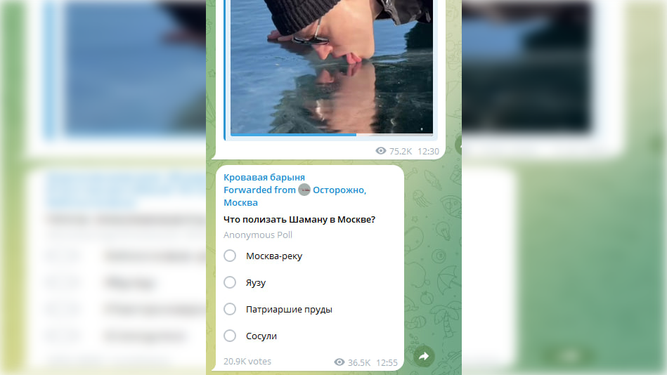 Скриншот: t.me/bloodysx