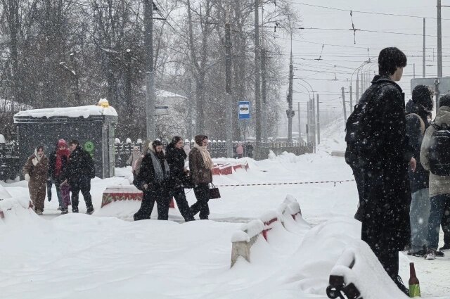   Фото: АиФ/ Анастасия Григорьева