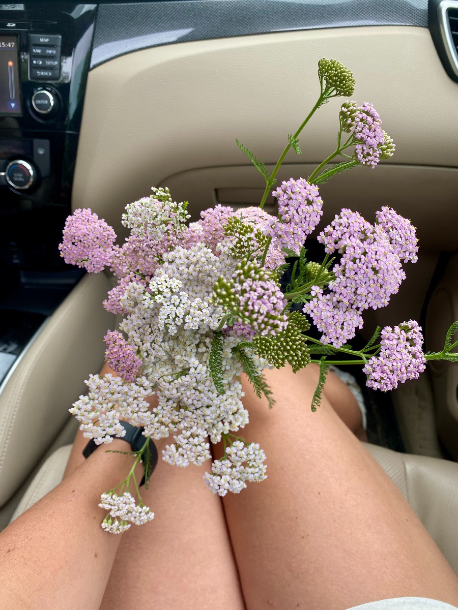 Посвящается моему главному вдохновителю.