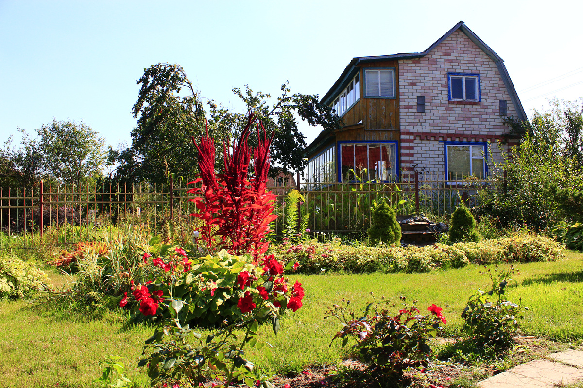 Designed by Freepik. Источник: www.freepik.com