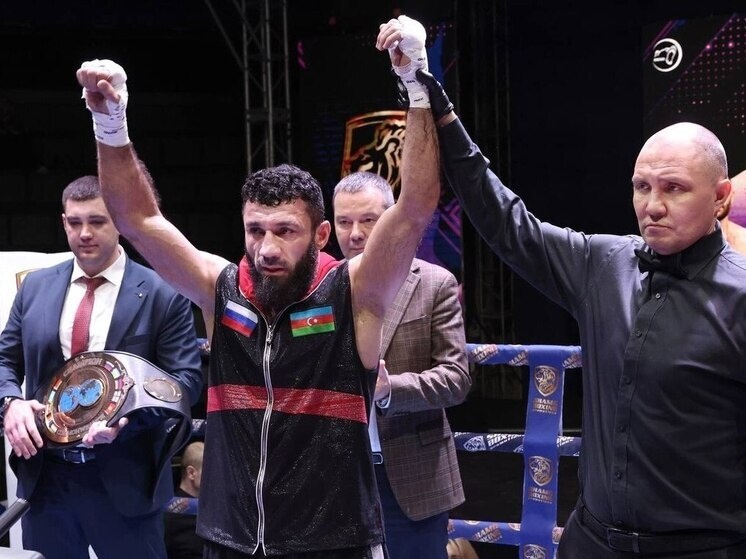     Фото федерации бокса Курской области