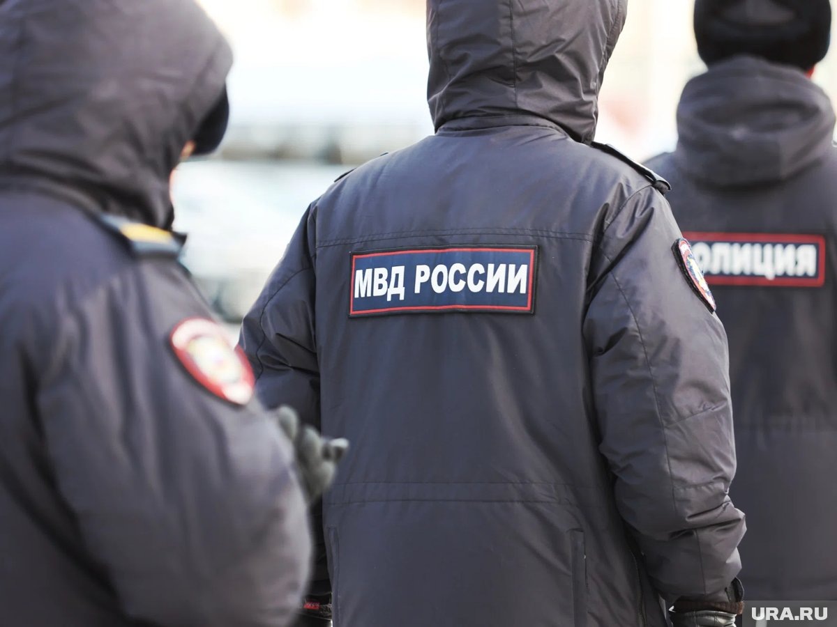    В составе была выявлена техническая неисправность, сообщили в МВД РФ