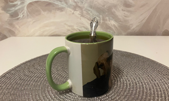    фото: © Столица на Онего