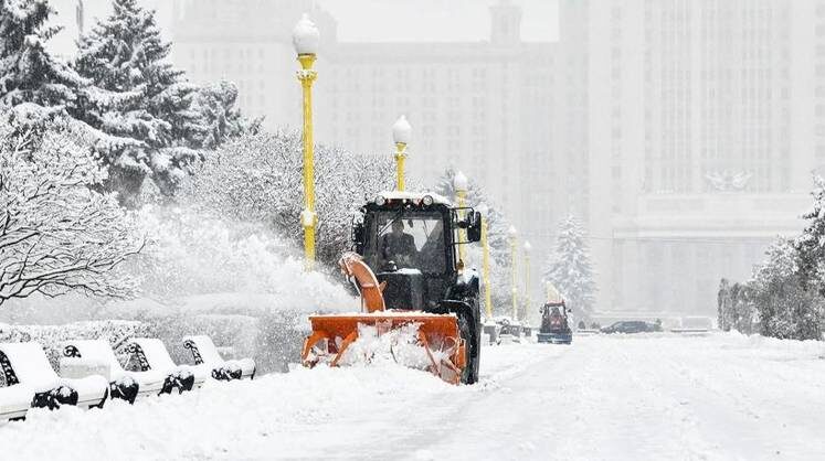    Юлия Иванко/mos.ru