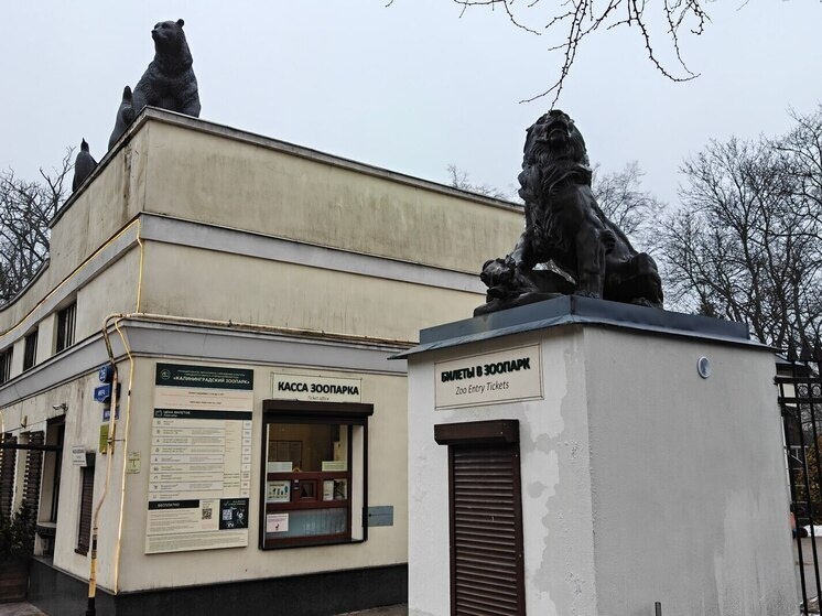     Фото: архив «МК в Калининграде».