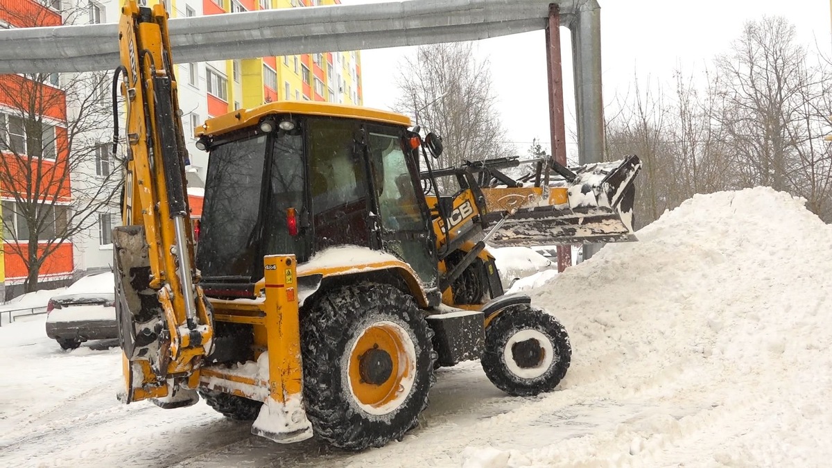    Фото: ГАУ МО АИС «Подмосковье»/Елена Аботурова