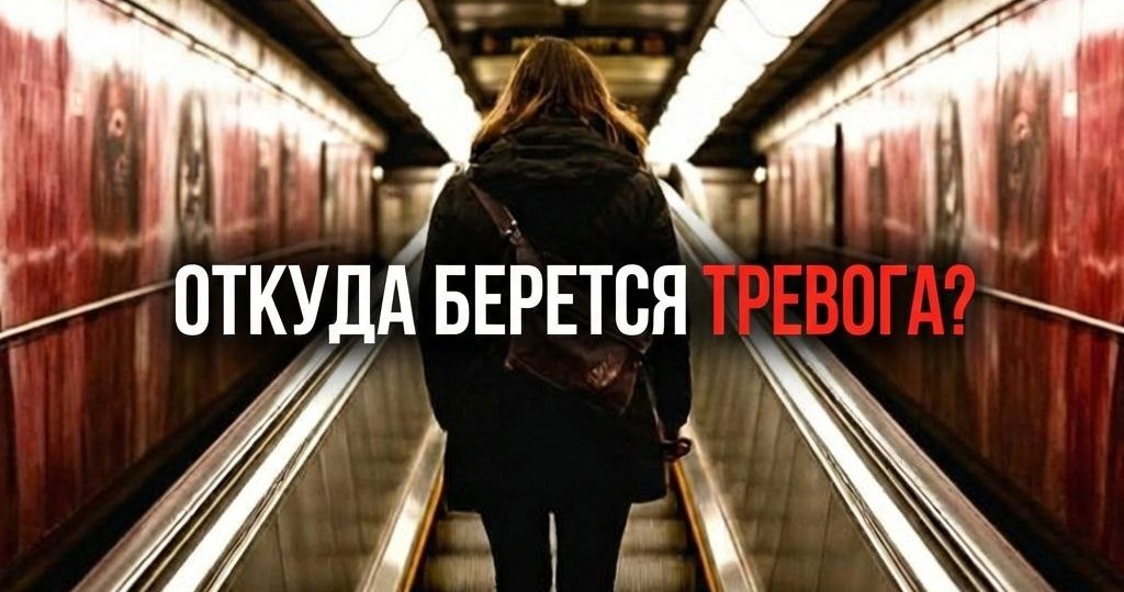 Физиология тревоги: почему «не переживай» не работает