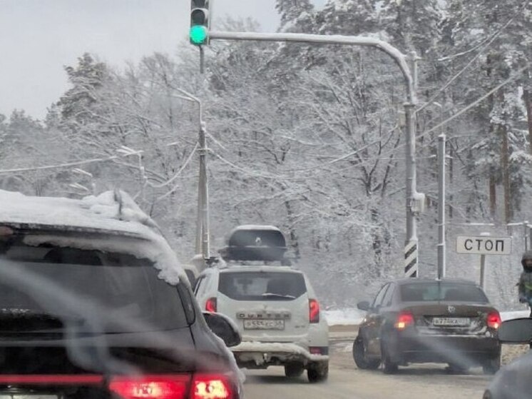     Фото: МК в Воронеже