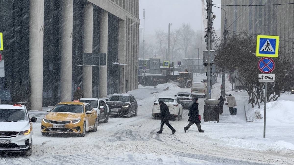    Фото: Вечерняя Москва