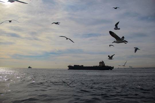    СМИ: корабли РФ и КНР осложняют планы США по возможной операции против Ирана (фото: pxhere.com)