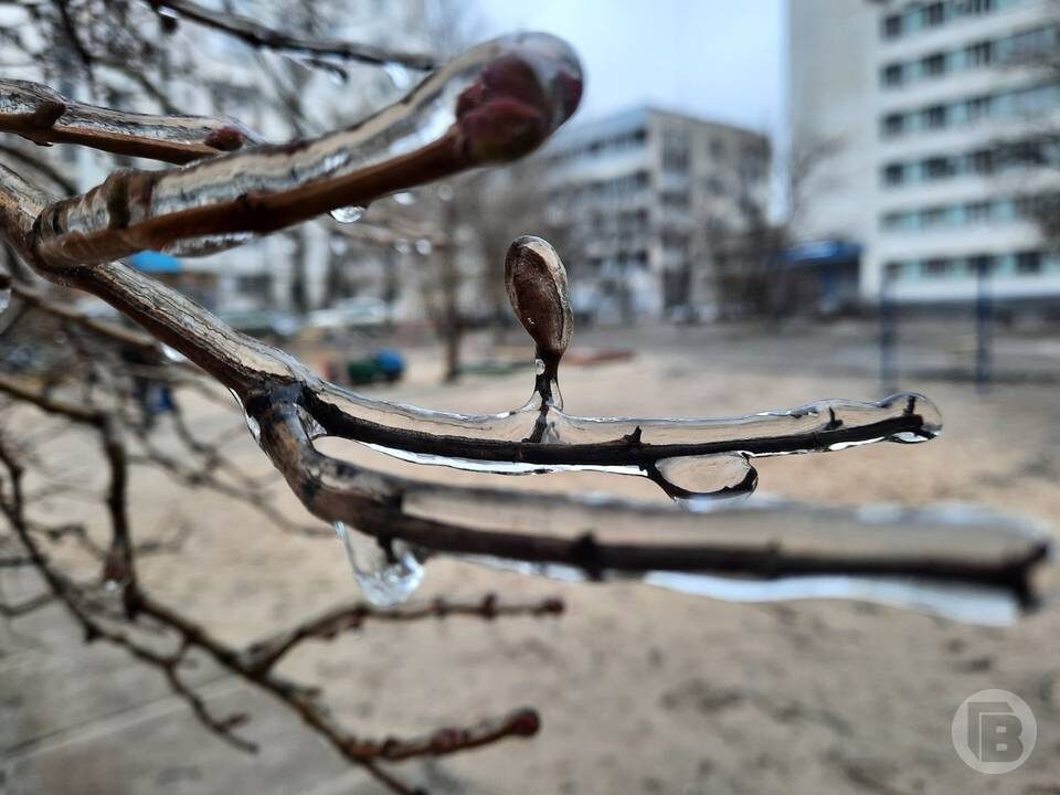    Фото: Елена Силантьева / "Городские вести"