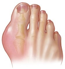 Картинка взята из интернет-ресурсов