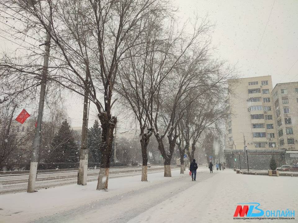    ФОТО: МТВ.ОНЛАЙН / Светлана Ларикова