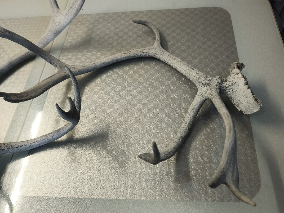 Фото 📷 автора