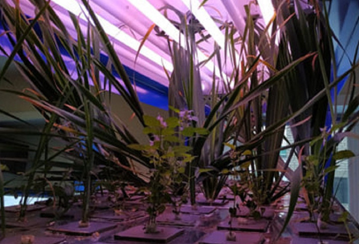 фото: Пресс-служба СПбГУ