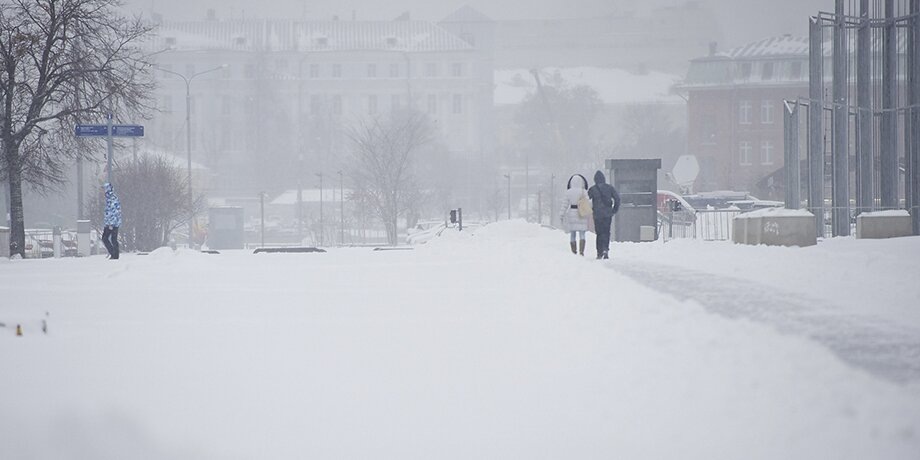    Фото: Москва 24/Александр Авилов