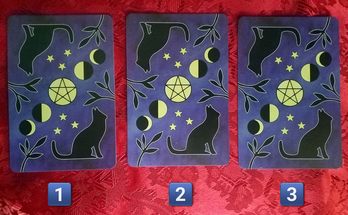 Делаем свой выбор