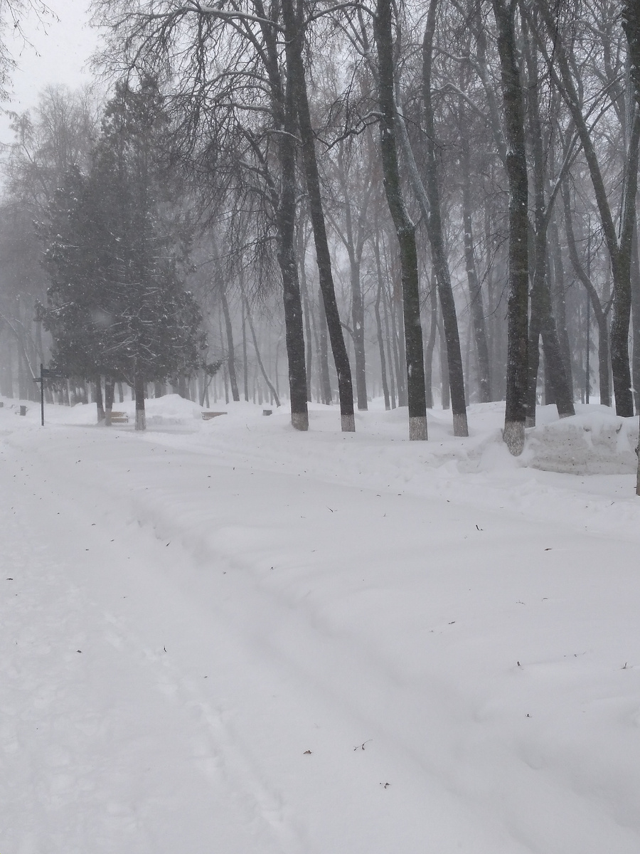Сегодняшняя метель.❄❄❄