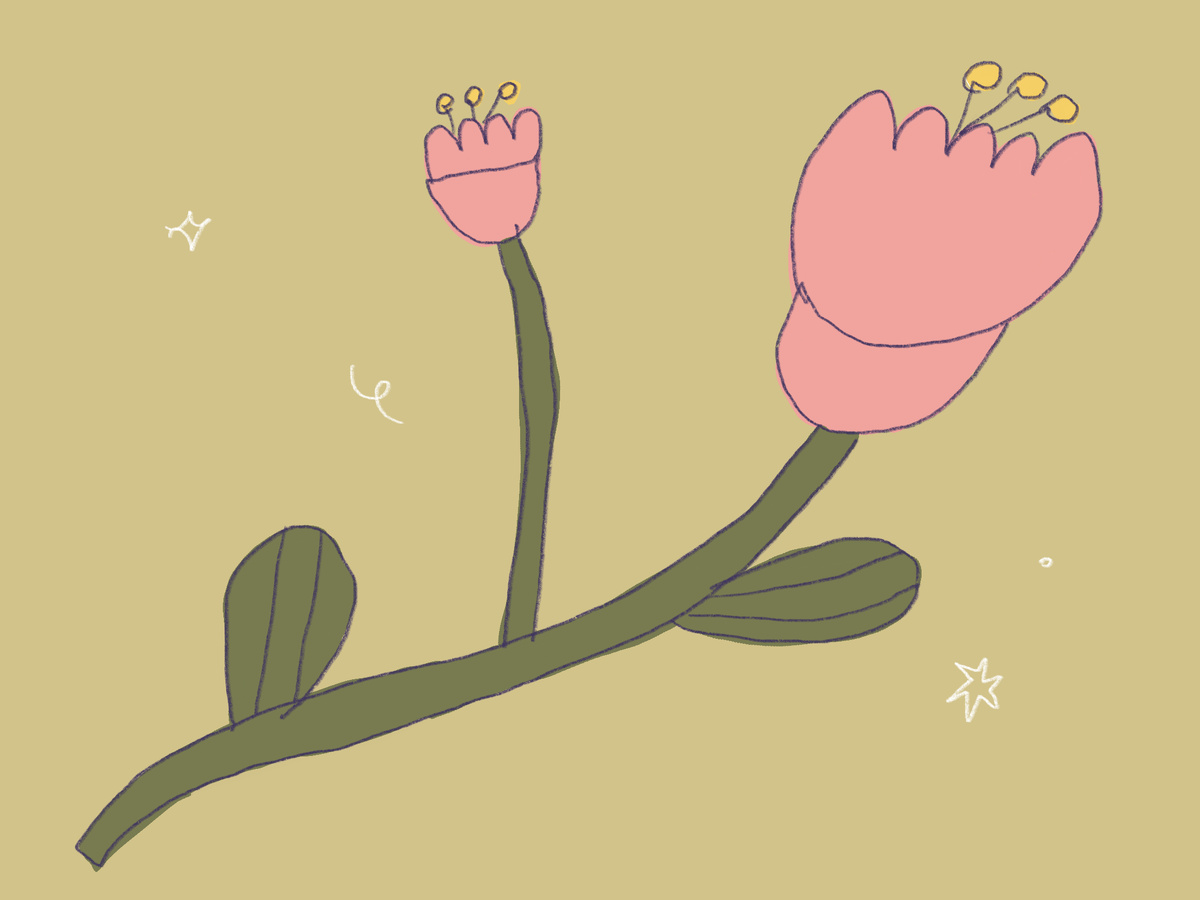 Иллюстрация: Туся Ширкова