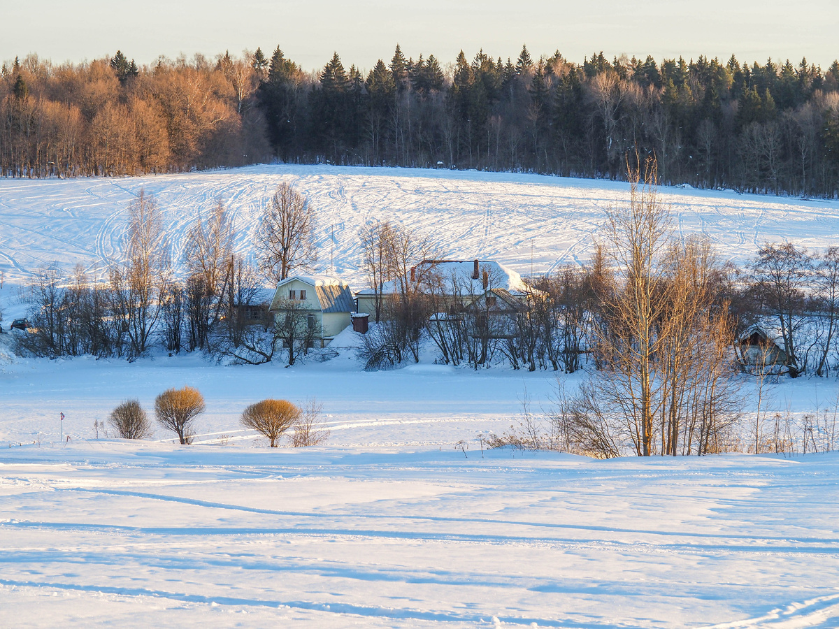 Вид на пруд и холмы со стороны усадьбы. Фото Павел Каманин