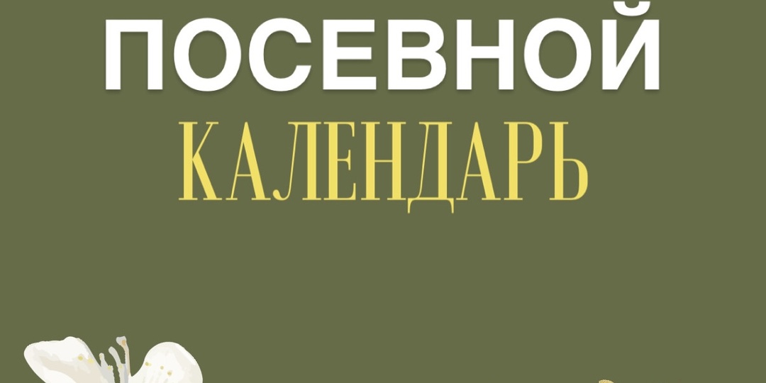 Посевной календарь 2026