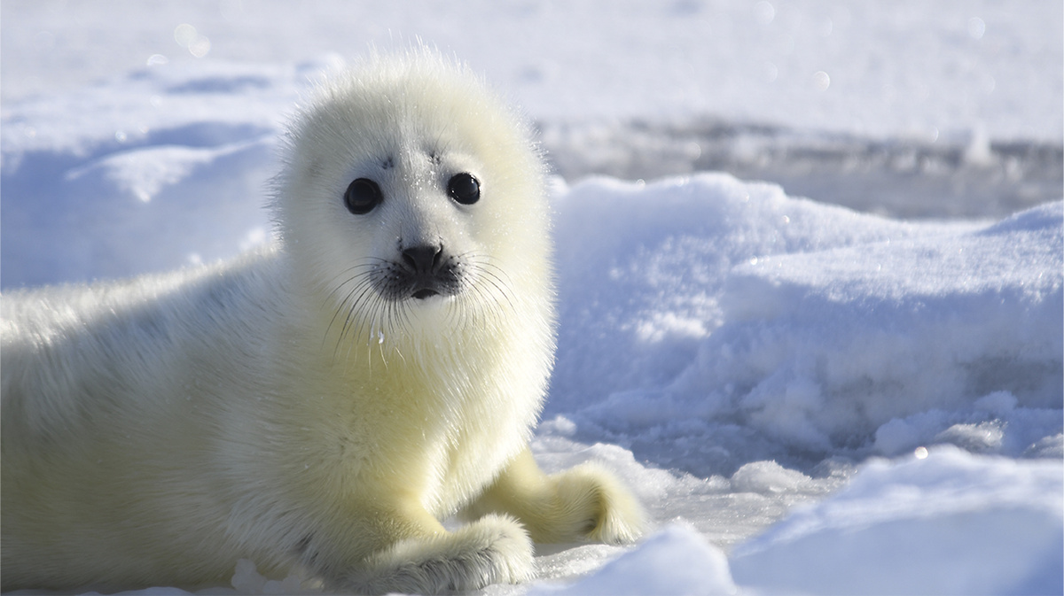 Фото: Анастасия Куница