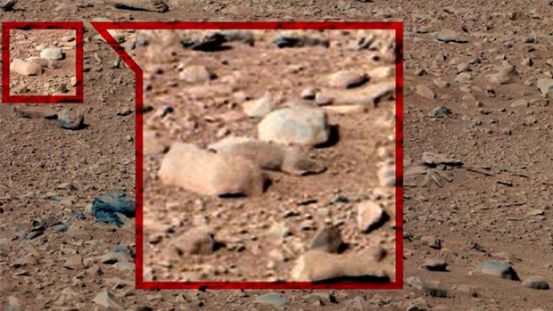 Говорят, что крыса находится на Марсе (Изображение: NASA)
