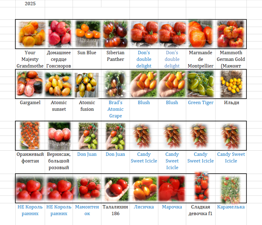 Грядки по 4 метра длиной и 50 см шириной.
