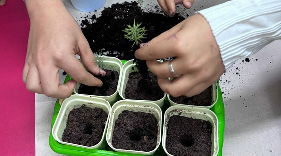    Фото: министерство природных ресурсов и экологии Калужской области / "ВКонтакте".