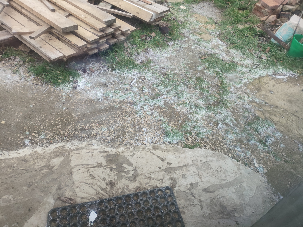 Да, это снежок. Даже такое количество удручает....