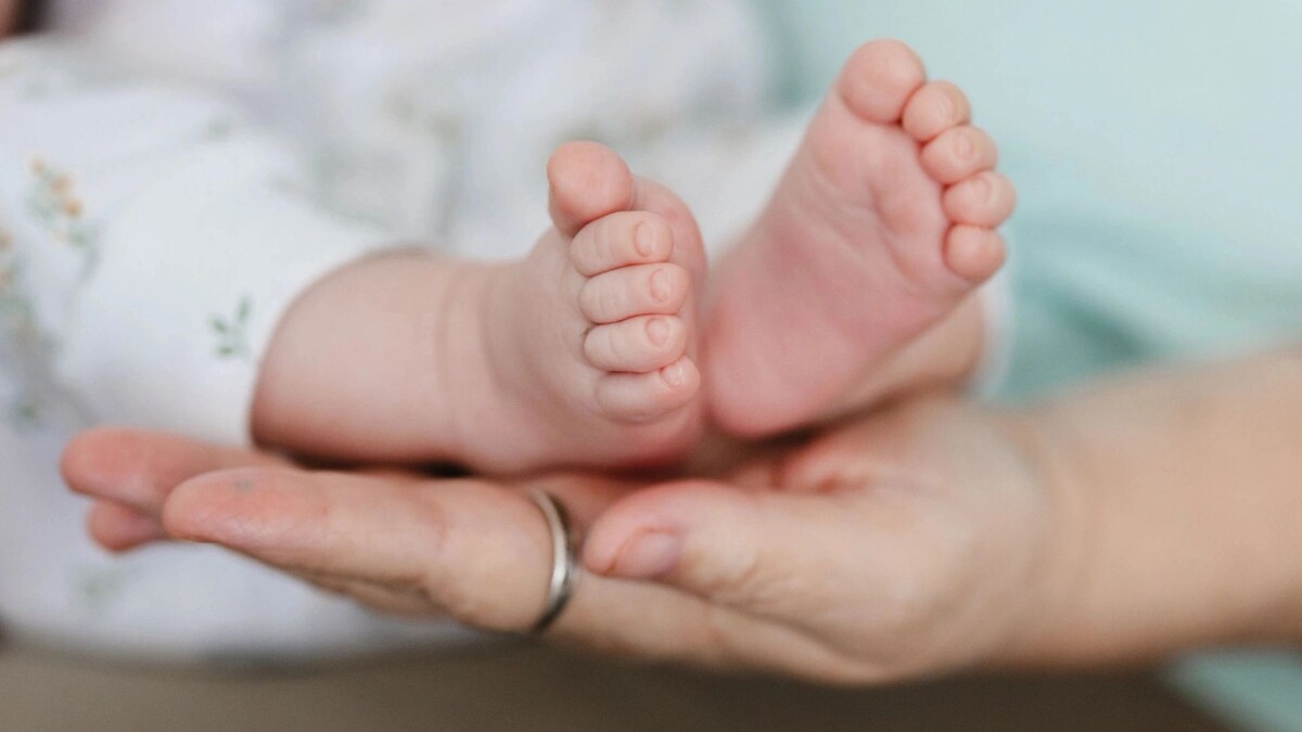    Фото: Юлия Чудинова/«Ямал-Медиа»