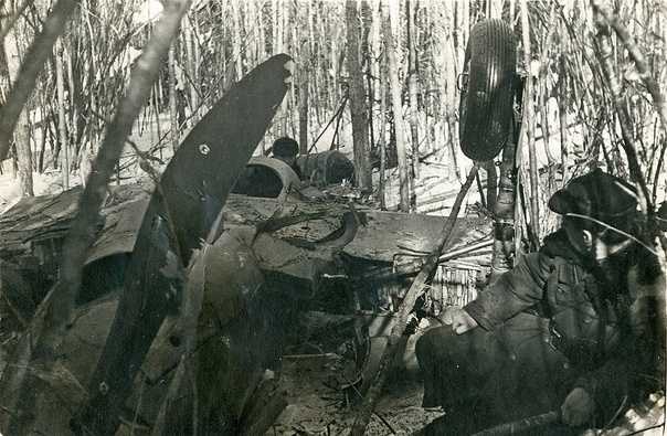 Источник: vk.com