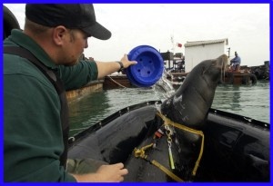 /из доступного фонда Яндекс.Картинки/ 