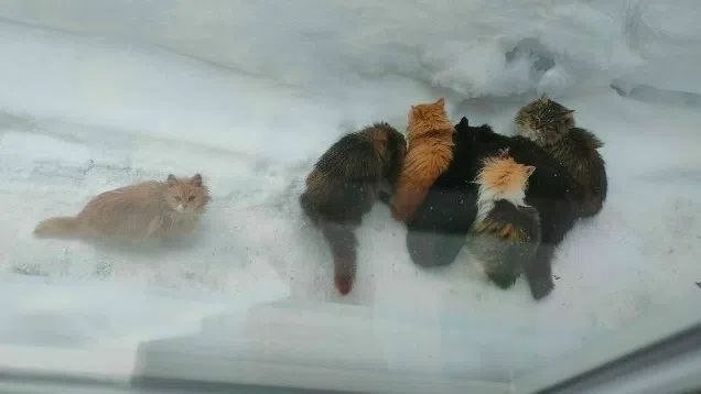 Из обращения