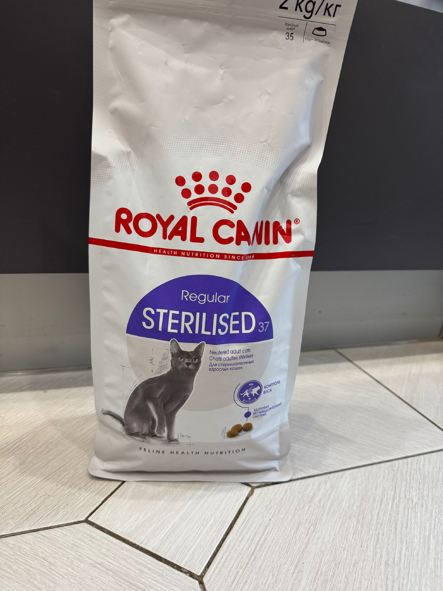 С первого взгляда, как будто все окей 