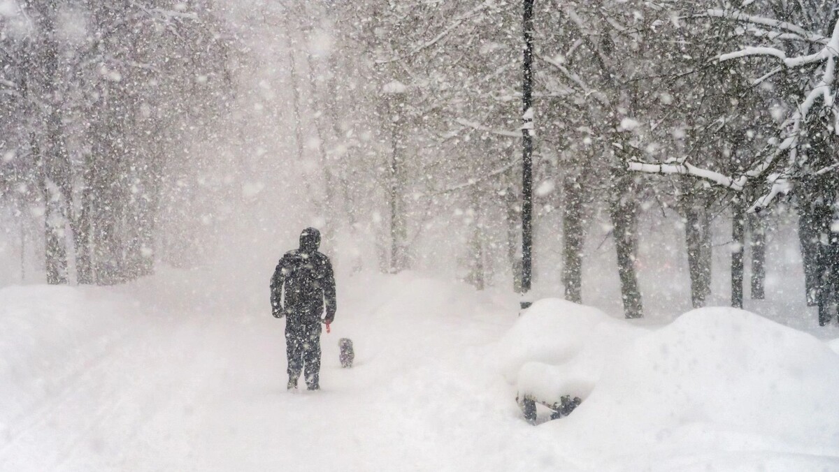   Фото: Ikebana Art-studio/Shutterstock/Fotodom
