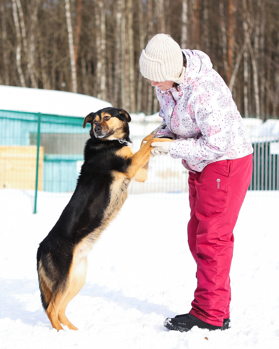 Это не я дуралей! Это они дуралеи, потмоу что мне не звонят!