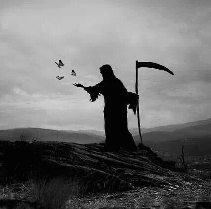 Фото взято из Pinterest