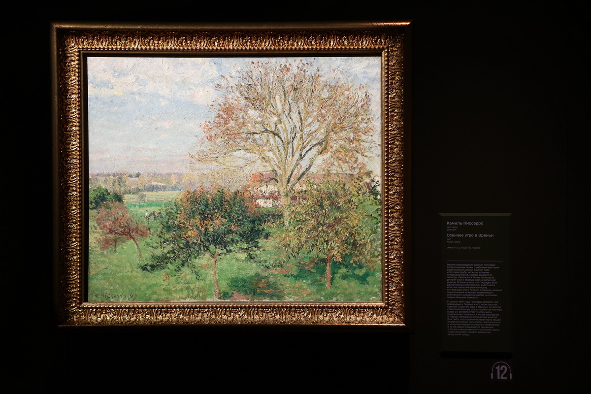    Фото: Ростислав Нетисов, nsknews.info