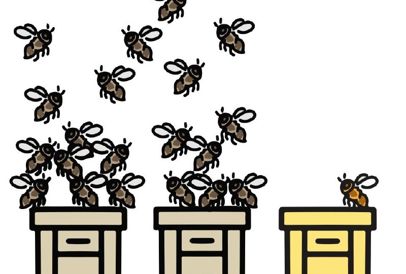 Жёсткая любовь