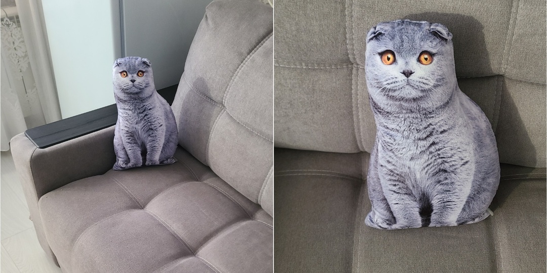 Что я заказала на Wildberries и не пожалела: обзор моих находок