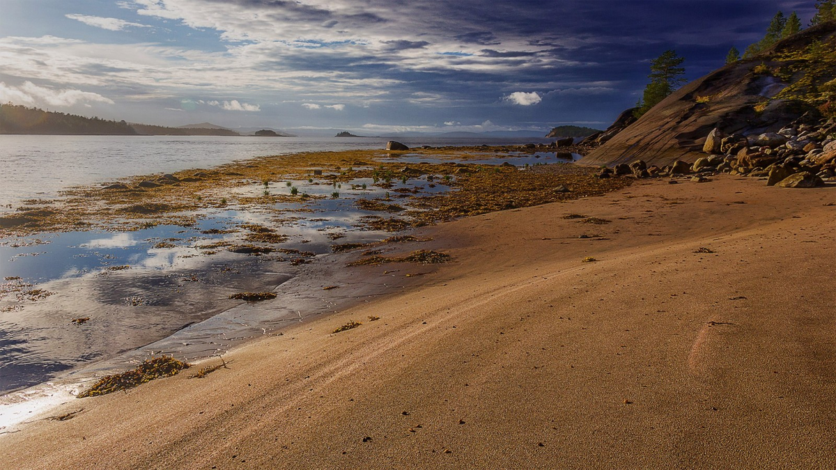 Берег Белого моря