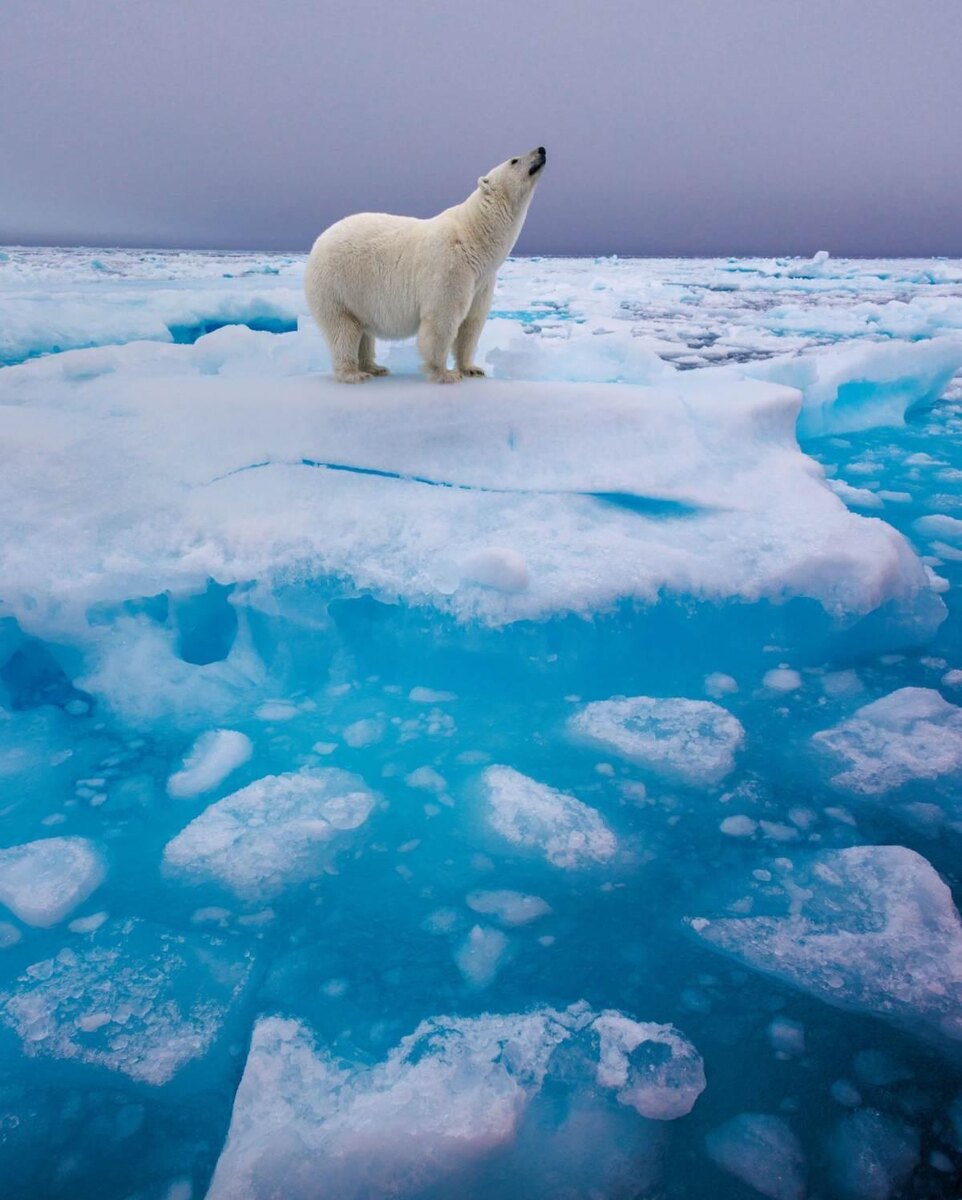     Фото, участвовавшие в конкурсе.